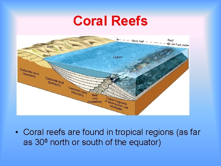 Coral Reefs • Coral reefs are found in tropical regions (as far as 300