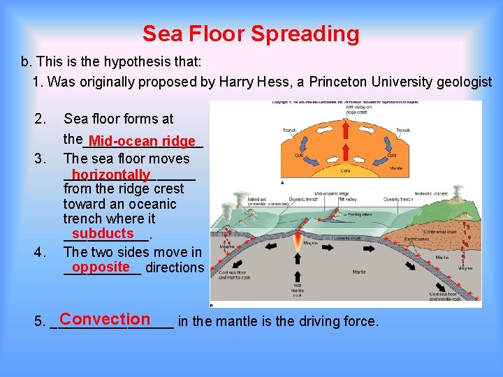 Sea Floor Spreading b. This is the hypothesis that: 1. Was originally proposed by