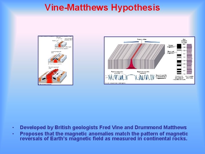 Vine-Matthews Hypothesis • • Developed by British geologists Fred Vine and Drummond Matthews Proposes