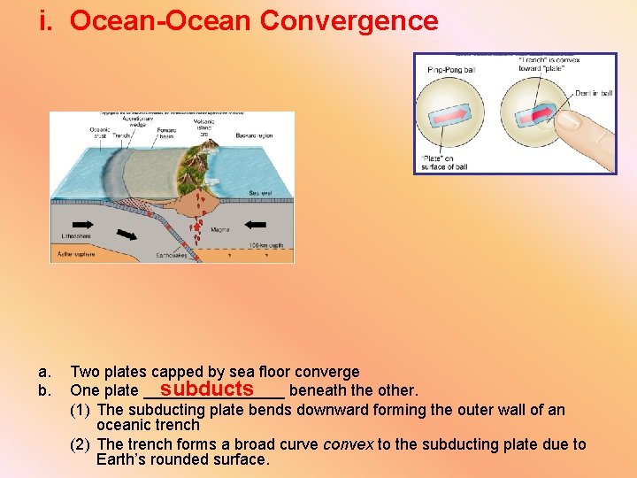 i. Ocean-Ocean Convergence a. b. Two plates capped by sea floor converge subducts One