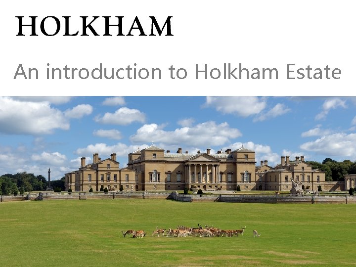 An introduction to Holkham Estate 