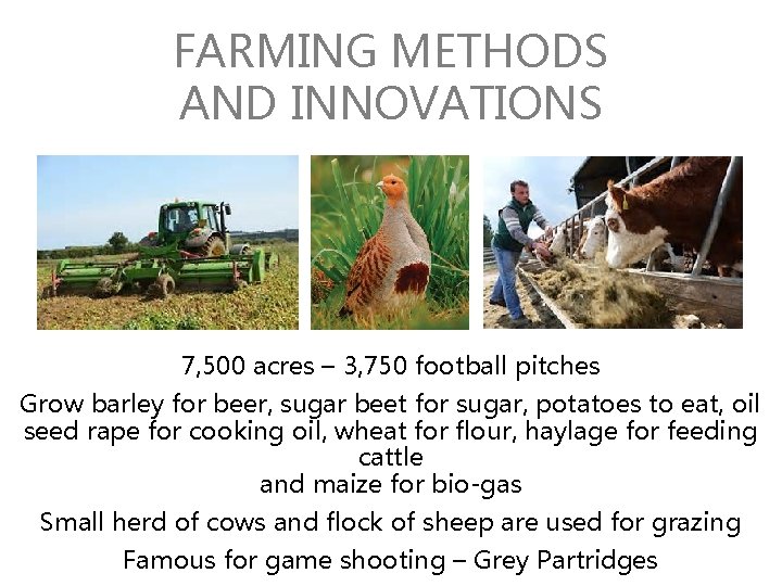FARMING METHODS AND INNOVATIONS 7, 500 acres – 3, 750 football pitches Grow barley