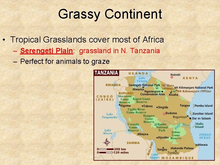 Grassy Continent • Tropical Grasslands cover most of Africa – Serengeti Plain: grassland in