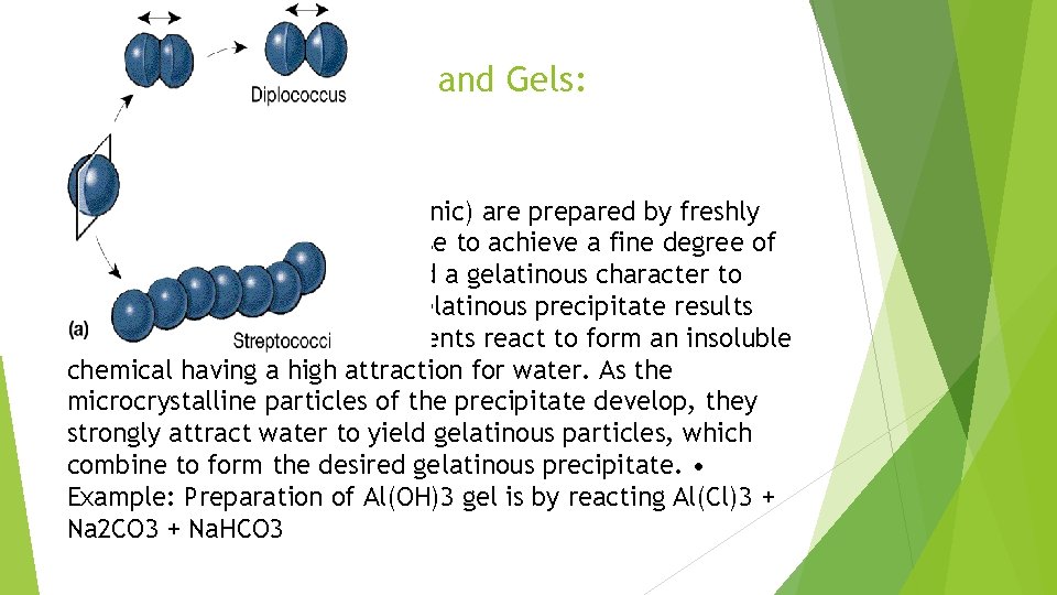 Preparation of Magmas and Gels: Some magmas and gels (inorganic) are prepared by freshly