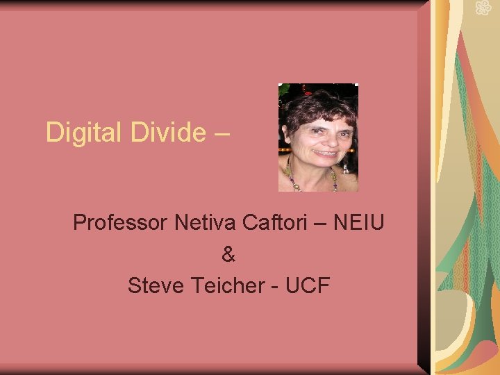 Digital Divide – Professor Netiva Caftori – NEIU & Steve Teicher - UCF 