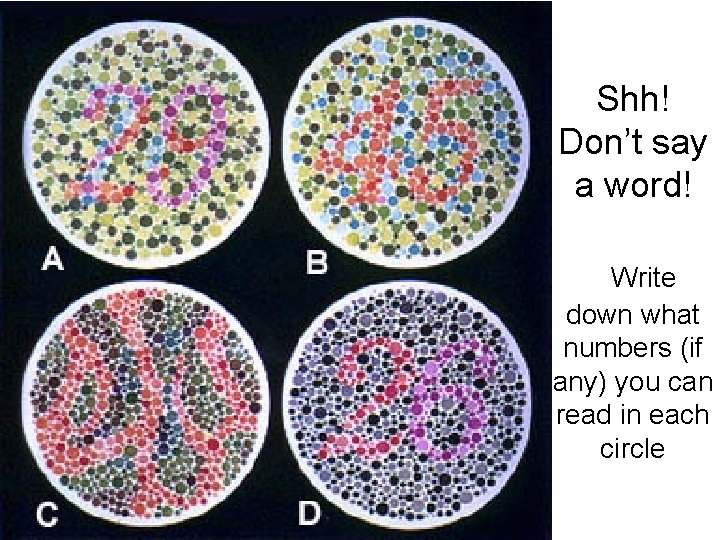 Shh! Don’t say a word! Write down what numbers (if any) you can read