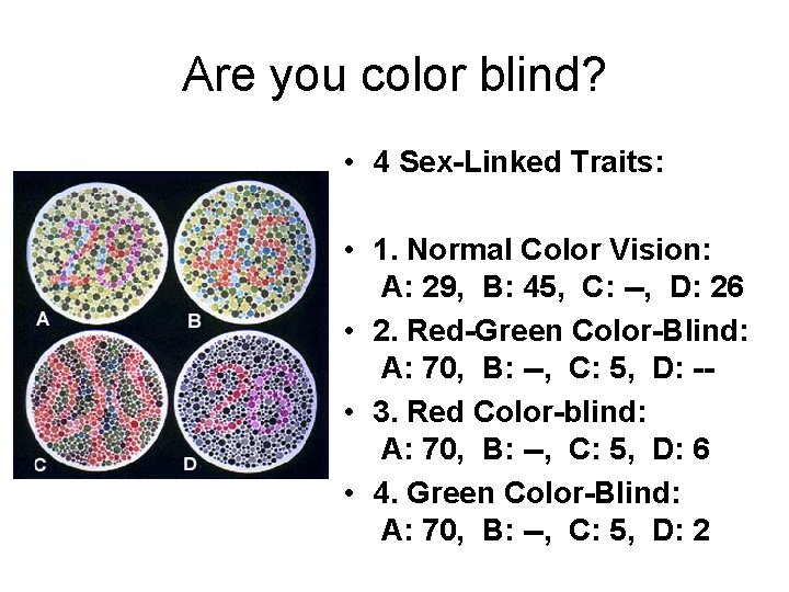 Are you color blind? • 4 Sex-Linked Traits: • 1. Normal Color Vision: A: