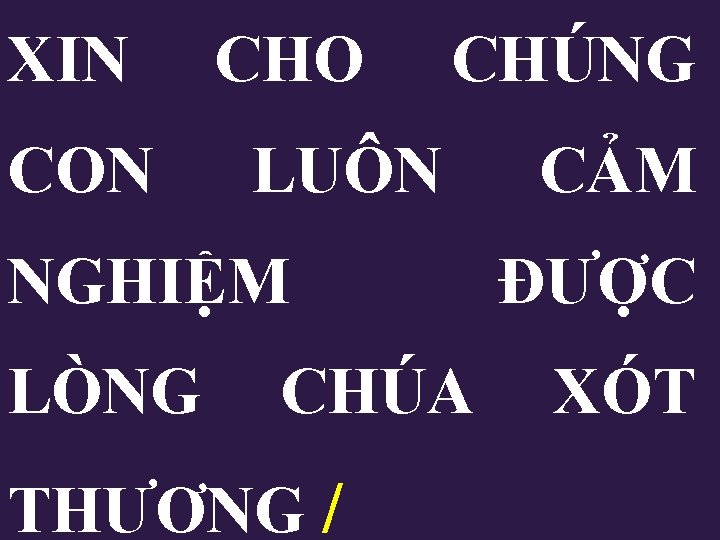 XIN CON CHO CHÚNG LUÔN NGHIỆM LÒNG CHÚA THƯƠNG / CẢM ĐƯỢC XÓT 