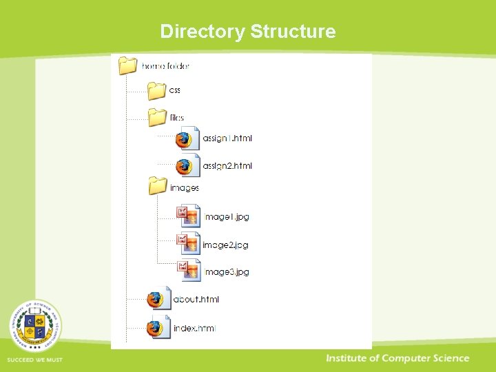 Directory Structure 