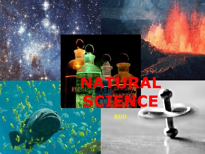 NATURAL SCIENCE 1 BDD 