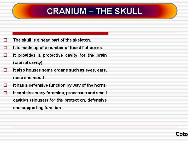 CRANIUM – THE SKULL o The skull is a head part of the skeleton.