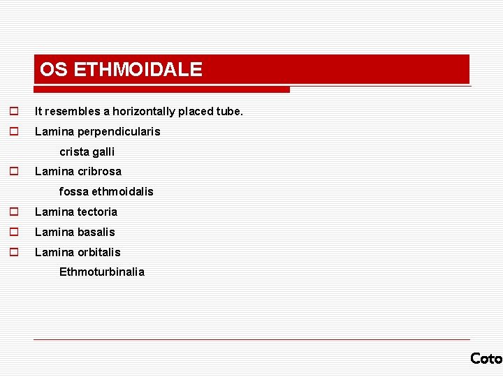 OS ETHMOIDALE o It resembles a horizontally placed tube. o Lamina perpendicularis crista galli