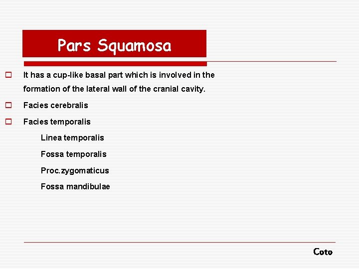 Pars Squamosa o It has a cup-like basal part which is involved in the