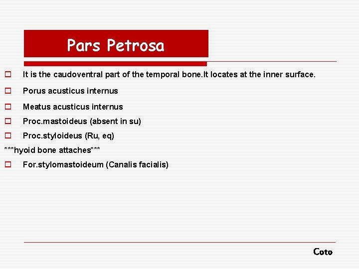 Pars Petrosa o It is the caudoventral part of the temporal bone. It locates