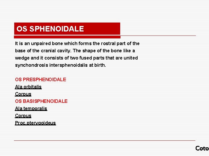 OS SPHENOIDALE It is an unpaired bone which forms the rostral part of the