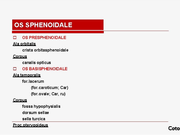 OS SPHENOIDALE o OS PRESPHENOIDALE Ala orbitalis crista orbitasphenoidale Corpus canalis opticus o OS OS SPHENOIDALE o OS PRESPHENOIDALE Ala orbitalis crista orbitasphenoidale Corpus canalis opticus o OS