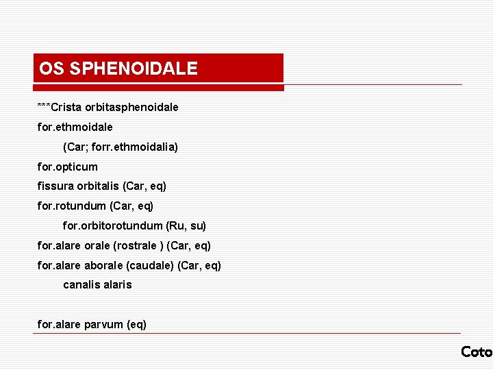 OS SPHENOIDALE ***Crista orbitasphenoidale for. ethmoidale (Car; forr. ethmoidalia) for. opticum fissura orbitalis (Car,