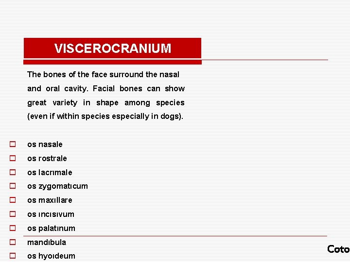 VISCEROCRANIUM The bones of the face surround the nasal and oral cavity. Facial bones