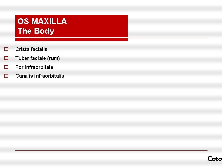 OS MAXILLA The Body o Crista facialis o Tuber faciale (rum) o For. infraorbitale