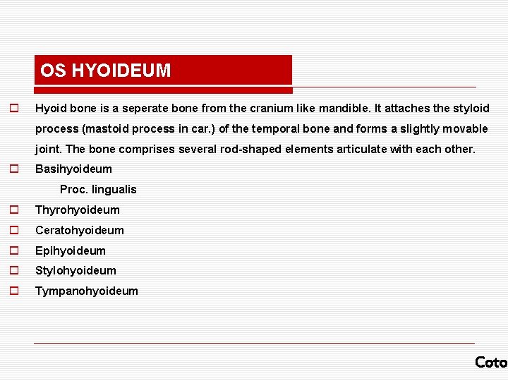 OS HYOIDEUM o Hyoid bone is a seperate bone from the cranium like mandible.