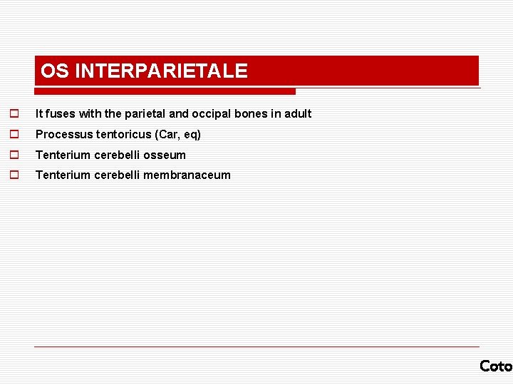 OS INTERPARIETALE o It fuses with the parietal and occipal bones in adult o