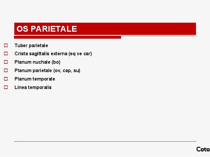 OS PARIETALE o Tuber parietale o Crista sagittalis externa (eq ve car) o Planum