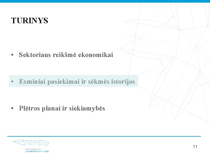 TURINYS • Sektoriaus reikšmė ekonomikai • Esminiai pasiekimai ir sėkmės istorijos • Plėtros planai