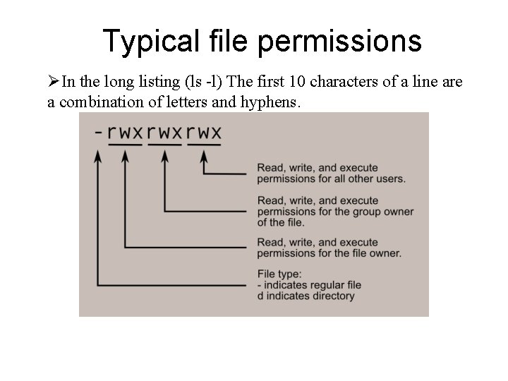 Typical file permissions In the long listing (ls -l) The first 10 characters of