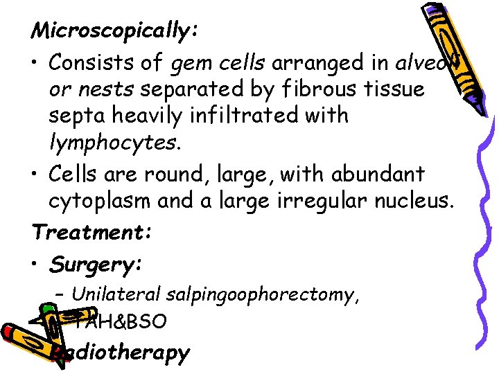 Microscopically: • Consists of gem cells arranged in alveoli or nests separated by fibrous
