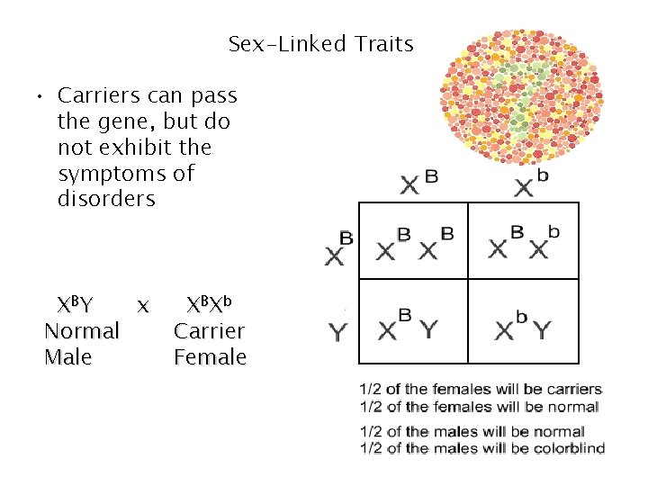 Sex-Linked Traits • Carriers can pass the gene, but do not exhibit the symptoms Sex-Linked Traits • Carriers can pass the gene, but do not exhibit the symptoms