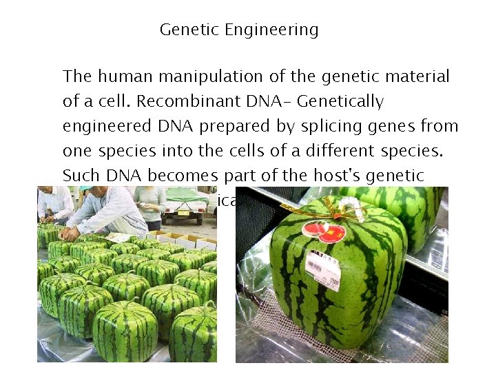 Genetic Engineering • The human manipulation of the genetic material of a cell. Recombinant Genetic Engineering • The human manipulation of the genetic material of a cell. Recombinant