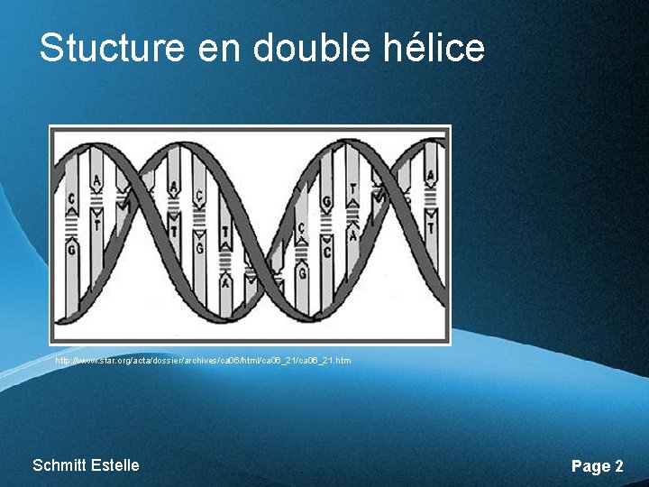 Stucture en double hélice http: //www. sfar. org/acta/dossier/archives/ca 06/html/ca 06_21. htm Schmitt Estelle Free