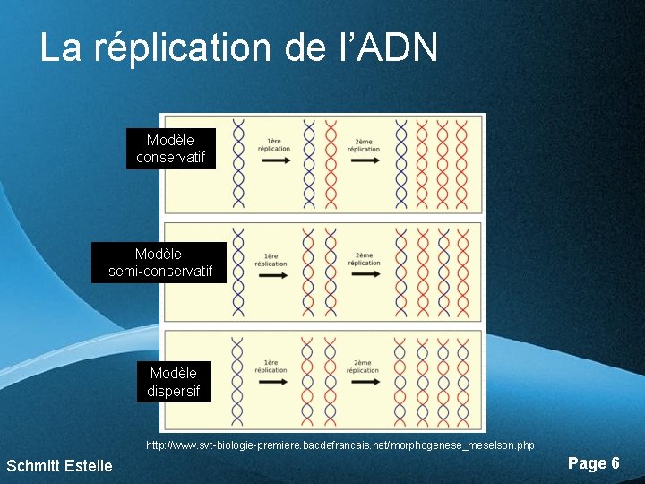 La réplication de l’ADN Modèle conservatif Modèle semi-conservatif Modèle dispersif http: //www. svt-biologie-premiere. bacdefrancais.