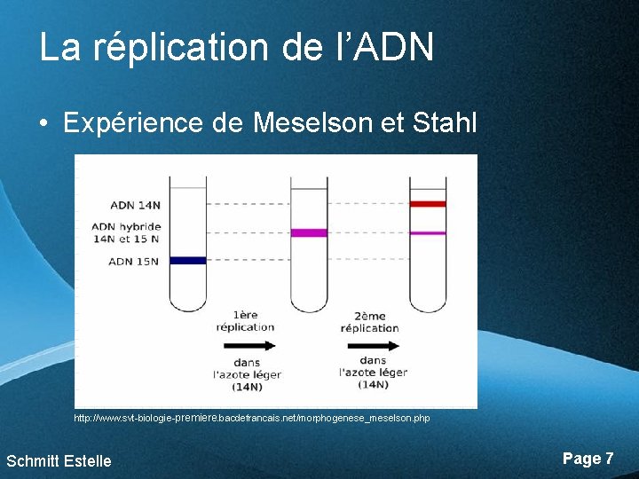 La réplication de l’ADN • Expérience de Meselson et Stahl http: //www. svt-biologie-premiere. bacdefrancais.