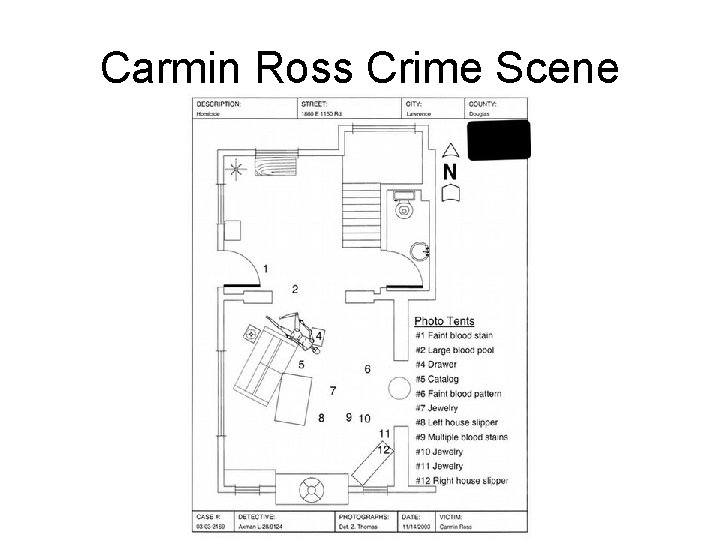 Carmin Ross Crime Scene 