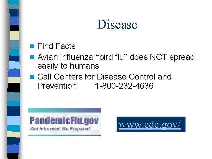 Disease Find Facts n Avian influenza “bird flu” does NOT spread easily to humans