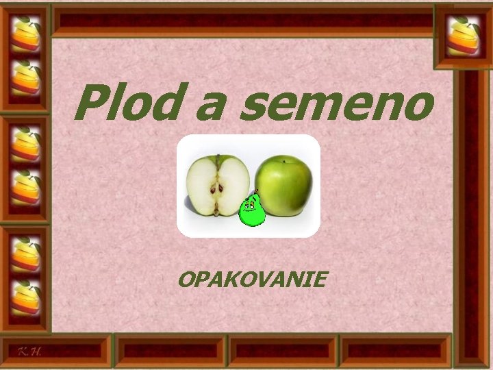 Plod a semeno OPAKOVANIE 