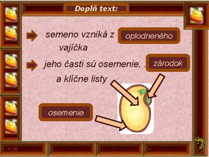 Doplň text: semeno vzniká z. . . . . oplodneného vajíčka zárodok jeho časti