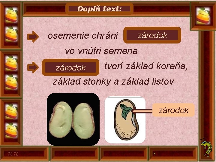 Doplň text: zárodok osemenie chráni. . . . . vo vnútri semena. . .