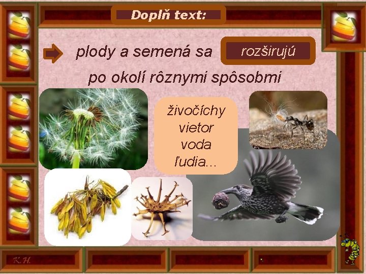 Doplň text: rozširujú plody a semená sa. . . . . po okolí rôznymi