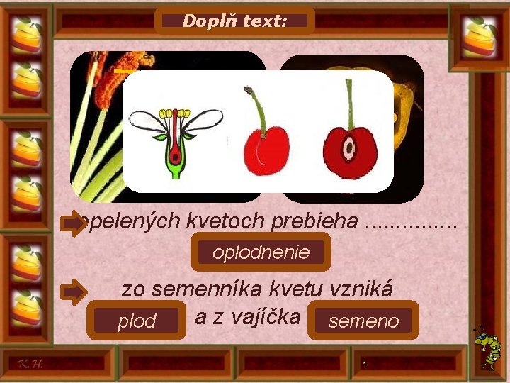 Doplň text: ♂ ♀ v opelených kvetoch prebieha. . . . oplodnenie zo semenníka