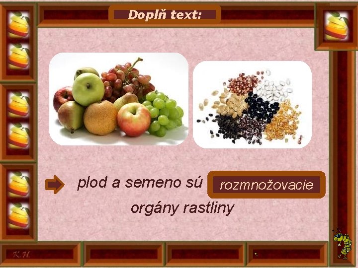 Doplň text: plod a semeno sú. . . . . rozmnožovacie orgány rastliny 