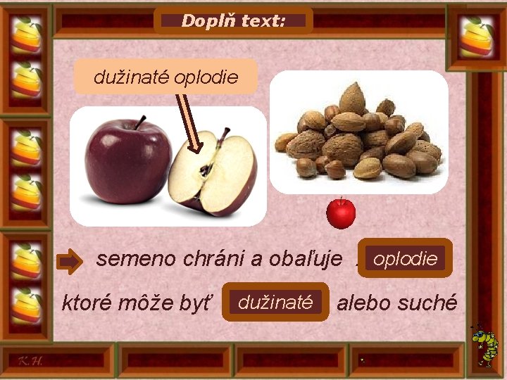 Doplň text: dužinaté oplodie , semeno chráni a obaľuje. . . dužinaté alebo suché