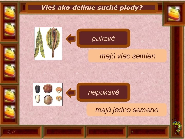 Vieš ako delíme suché plody? pukavé majú viac semien nepukavé majú jedno semeno 