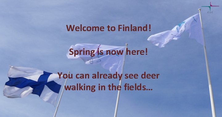 Welcome to Finland! Spring is now here! You can already see deer walking in