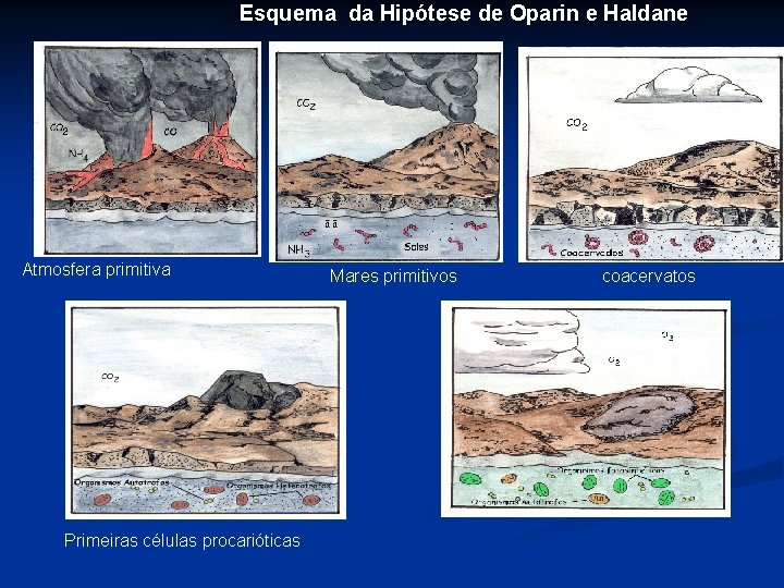 Esquema da Hipótese de Oparin e Haldane Atmosfera primitiva Primeiras células procarióticas Mares primitivos