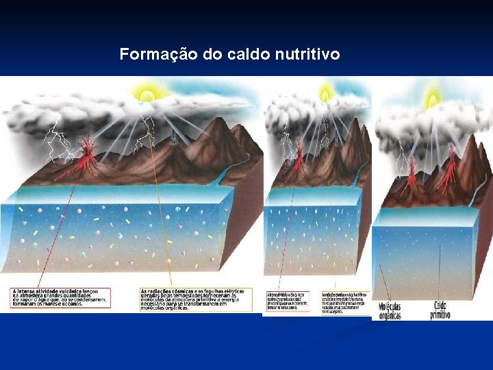 Formação do caldo nutritivo 