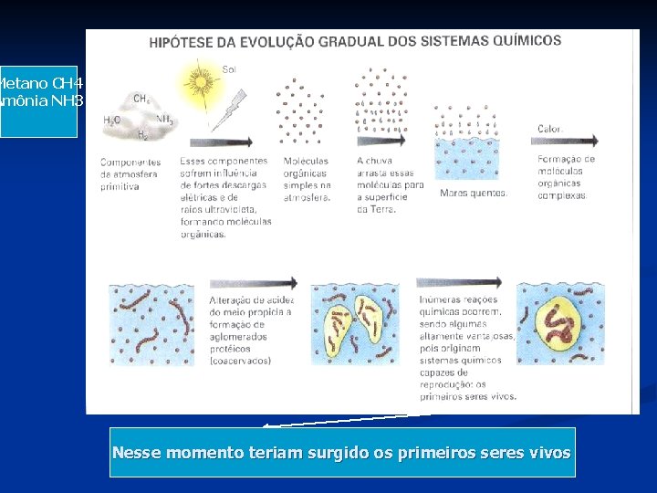 Metano CH 4 Amônia NH 3 Nesse momento teriam surgido os primeiros seres vivos