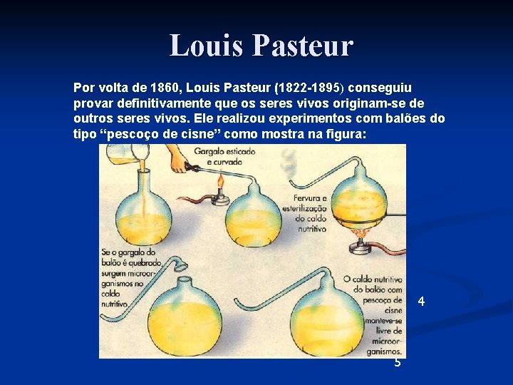 Louis Pasteur Por volta de 1860, Louis Pasteur (1822 -1895) conseguiu provar definitivamente que