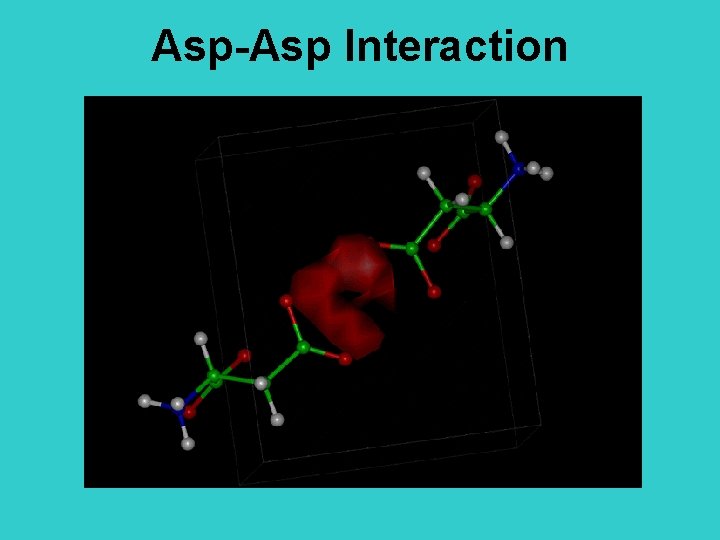 Asp-Asp Interaction 